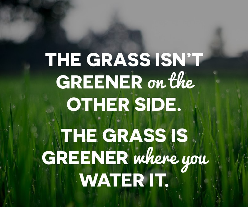 grass is greener